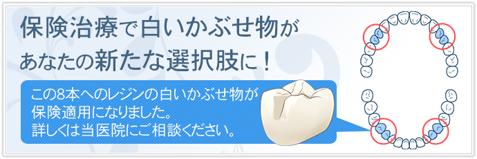 赤丸の部分の白い被せ物が保険適用になりました。詳しくは当医院にご相談ください。